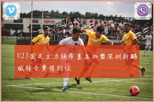 U23国足主力杨希基本加盟深圳新鹏城转会费将到位